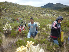 OBSERVACION DIRECTA