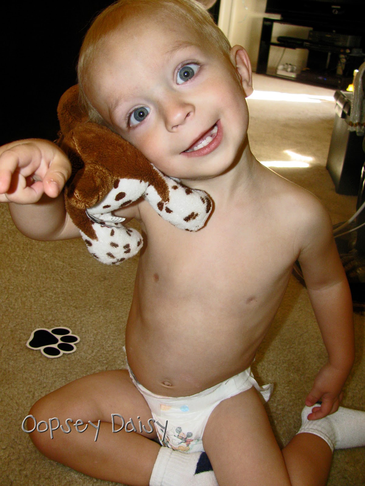 Dog+bone+shaped+cookies
