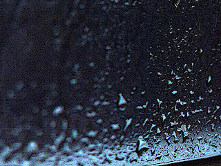 Raindrops by mconnors Raindrops by mconnors