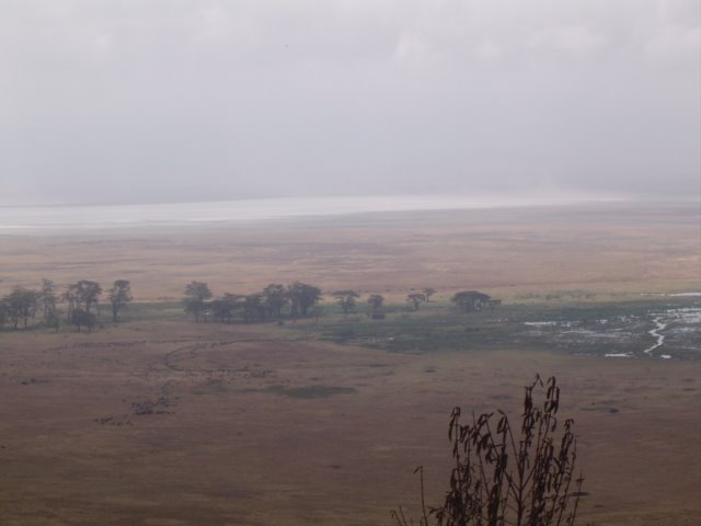 [DSC05837.JPG]