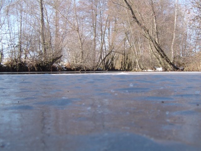 [DSC06301.JPG]