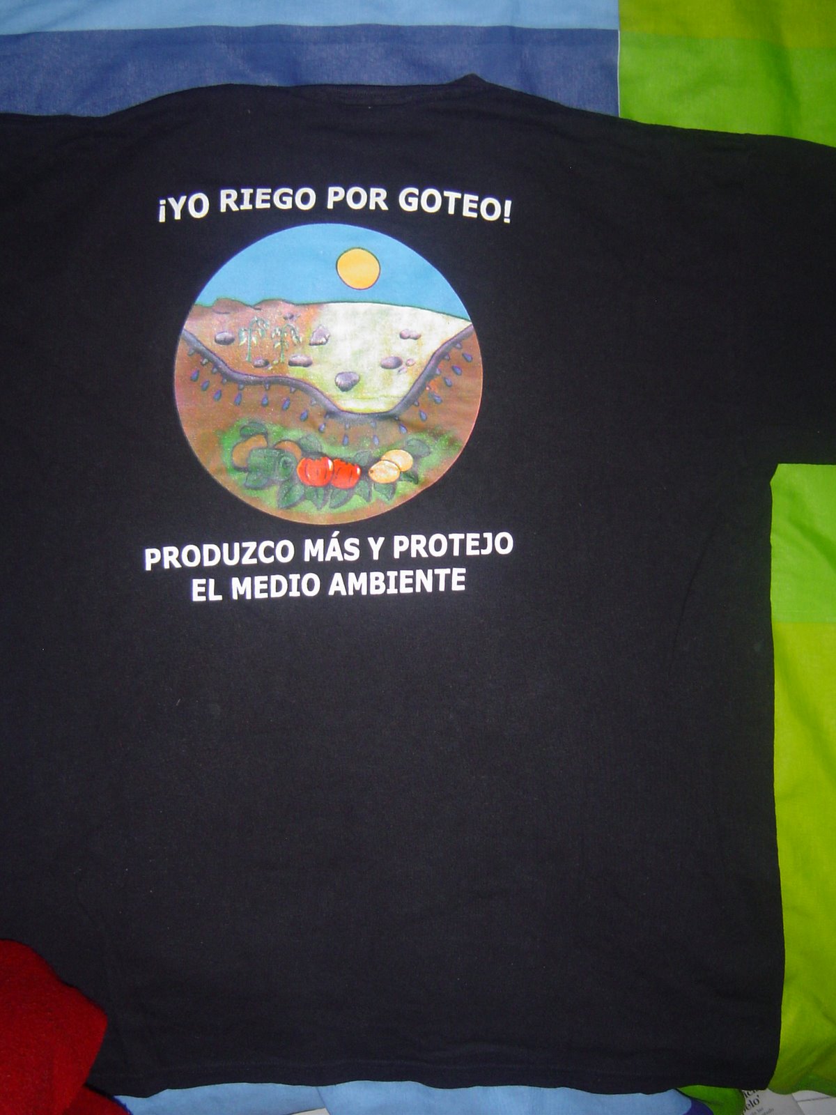 [DSC07000.JPG]