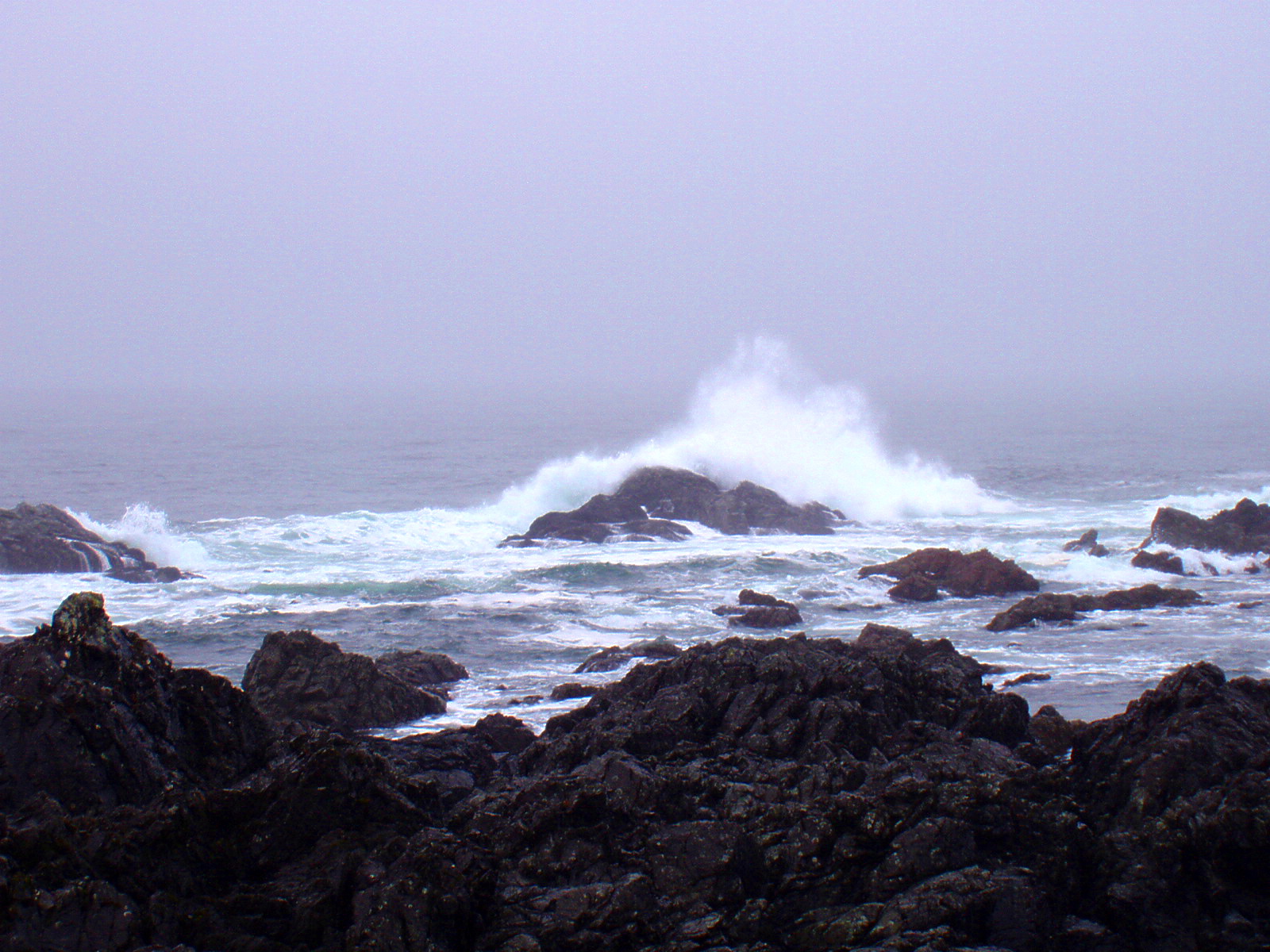 [Ucluelet+00026.JPG]