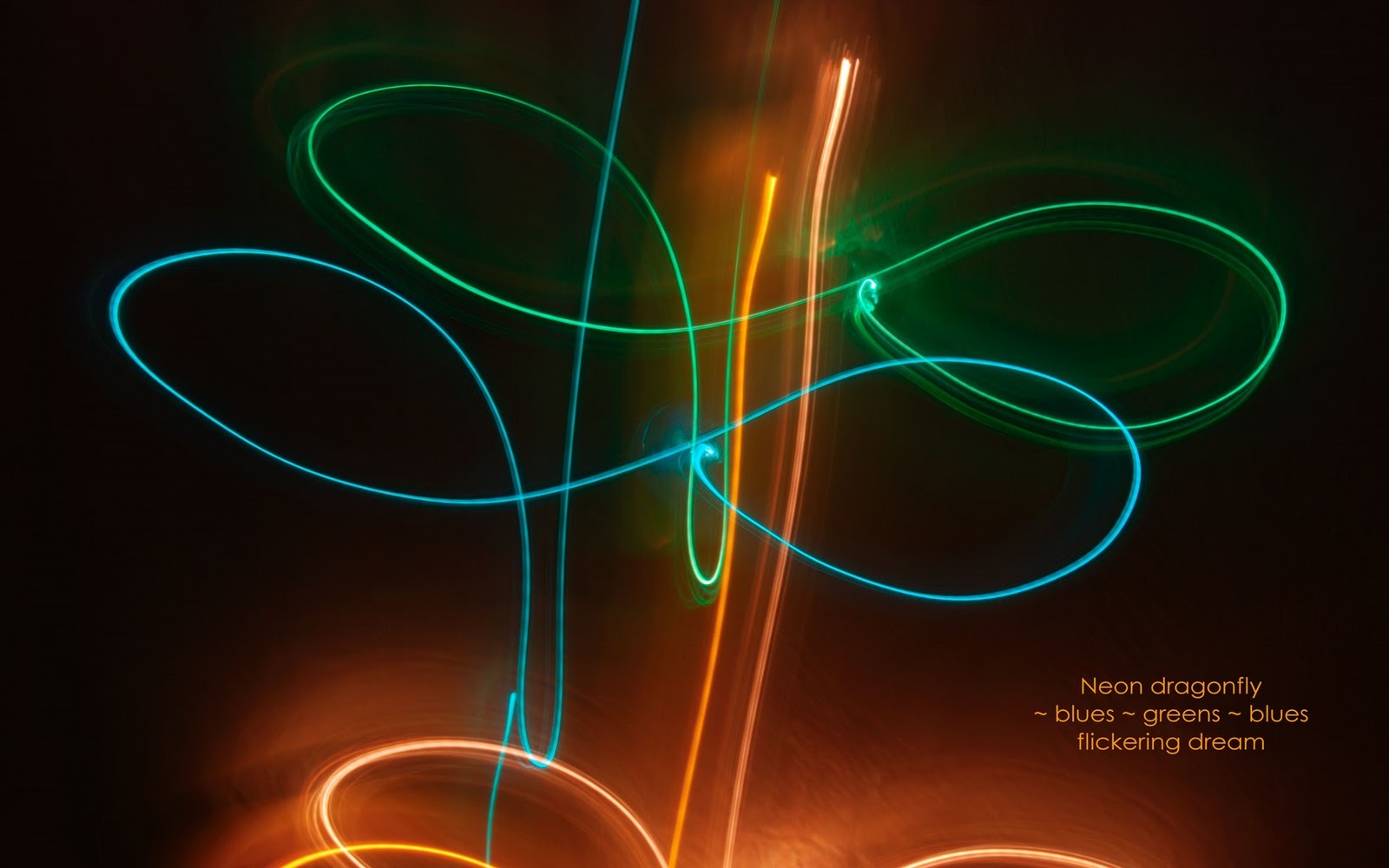 http://4.bp.blogspot.com/_EMpWvl4wjFo/TJxWNxc1VAI/AAAAAAAAA54/Y8qk_gHJyj0/s1600/neon-dragonfly.jpg