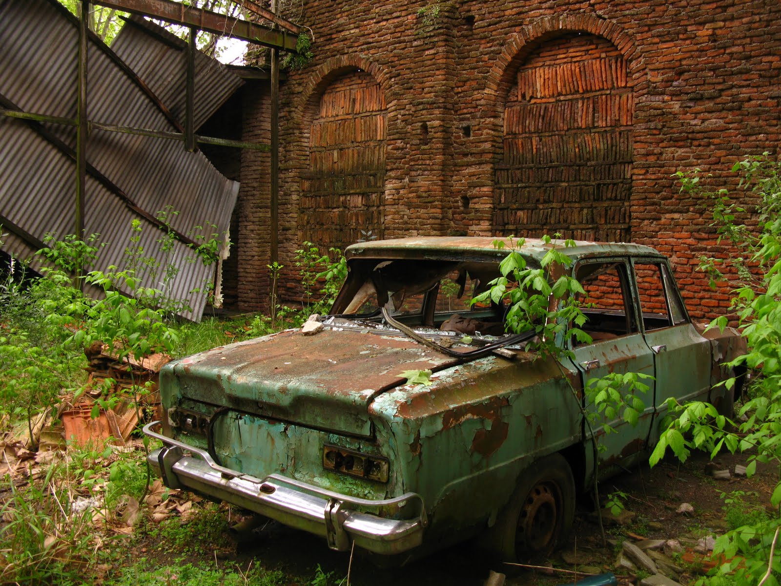 [IMG_8512.JPG]