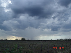 Chuva na caatinga em outubro de 2010