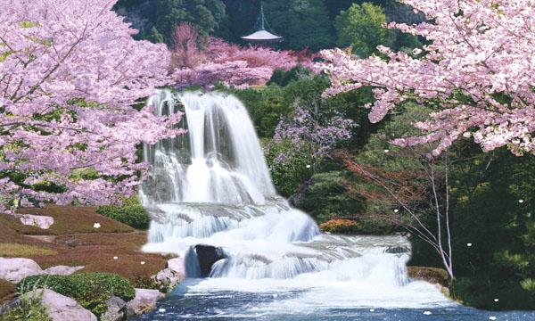 japanese waterfall tattoo. body tattoos: cherry tree