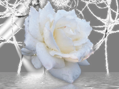 ROSA+BLANCA+EN+AGUA.gif