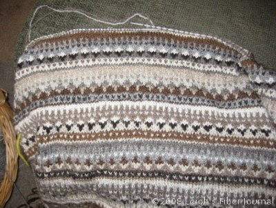Body of Leigh's Shetland Sampler Cardi Body of Leigh's Shetland Sampler Cardi