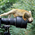 Dia Mundial da Fotografia