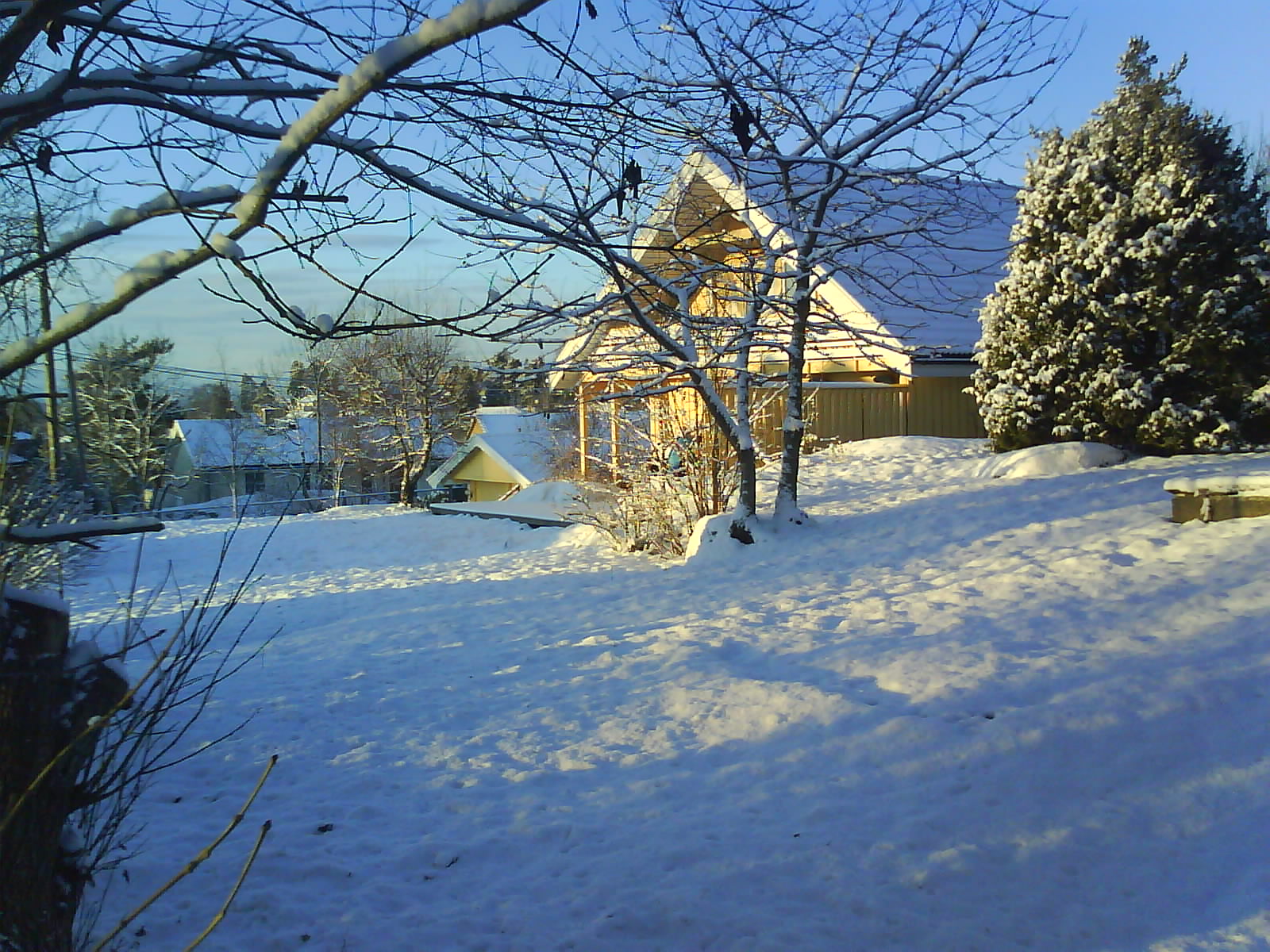 [DSC01031.JPG]