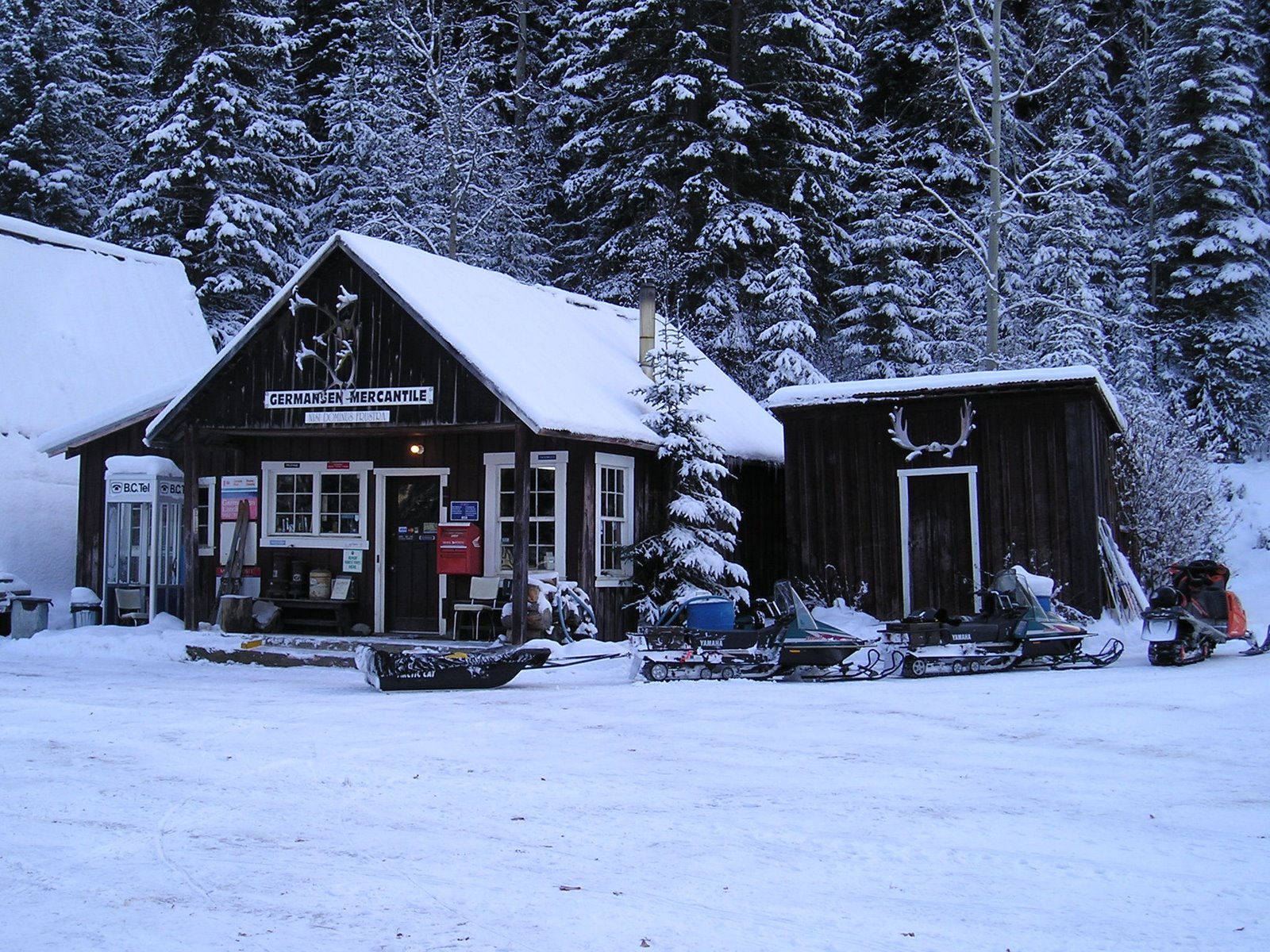 One Wild Year Mail day on the snowmobiles!