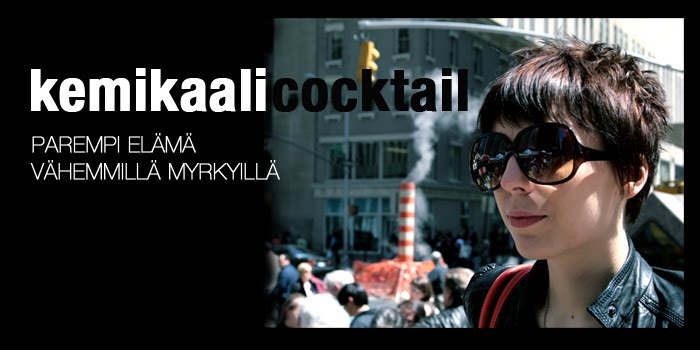 [bloginetusivunyki.jpg]
