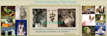 CLINICA VETERINARIA PET HOUSE