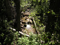 Creek falling from the Grotto
