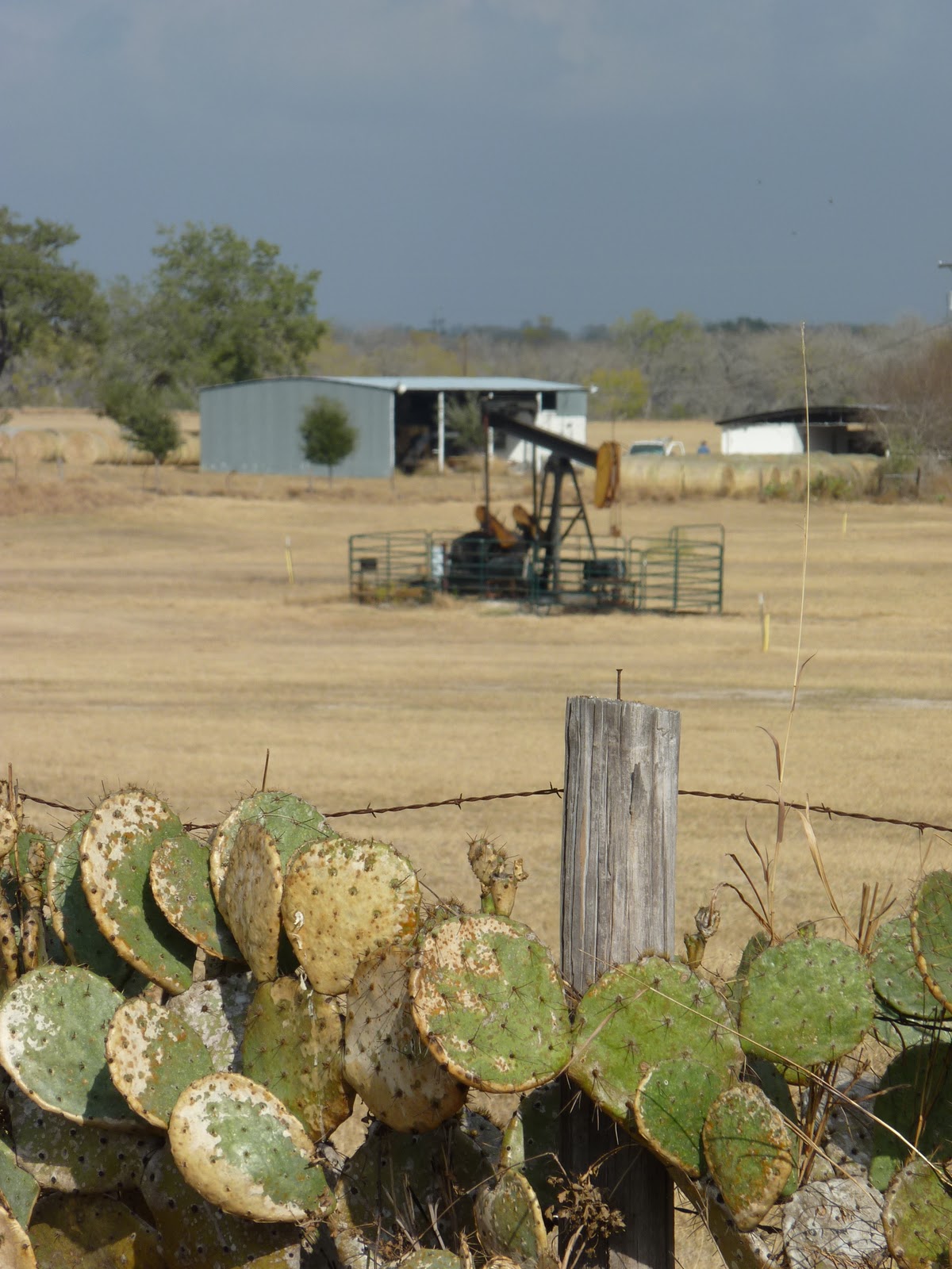Wearing Pearls in Kindergarten Three Rivers, Texas
