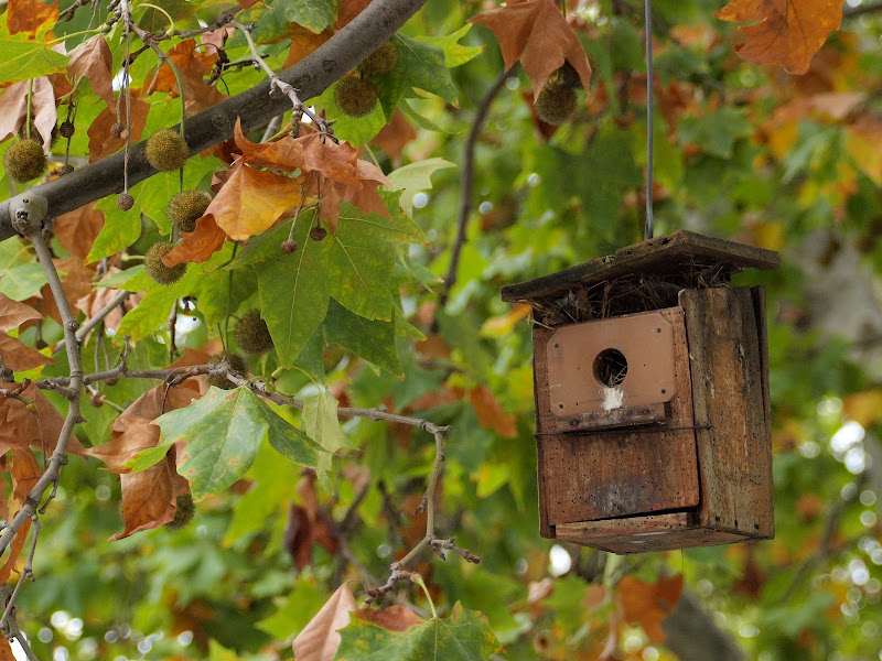 Olympus E-3 + Zuiko 50-200 SWD + C. 2x • a 100 (200) mm • ISO 1000 • 1/200 • f/5,6