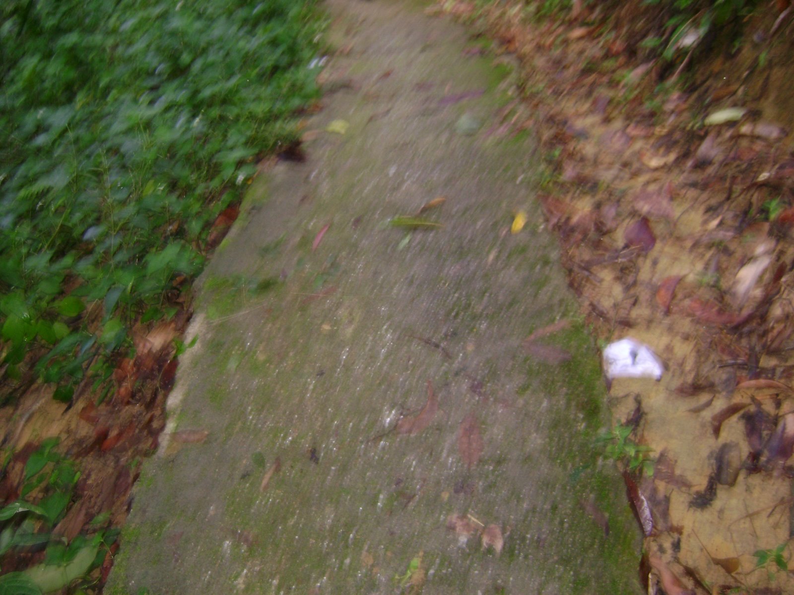 [DSC05019.JPG]