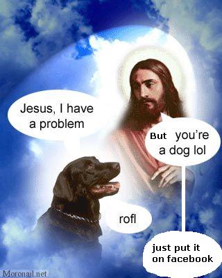 stuff apostolics like 164