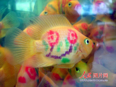 parrot tattoo. Tattooed Parrot Fish