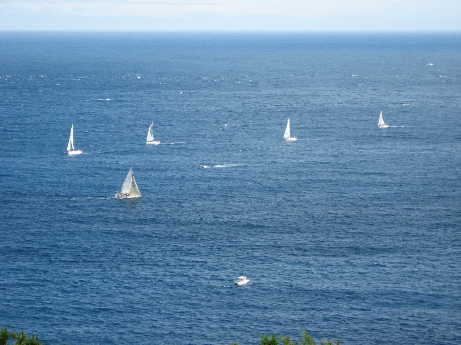 [seaweek08_138.JPG]