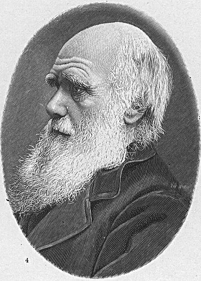 [Darwin.jpg]