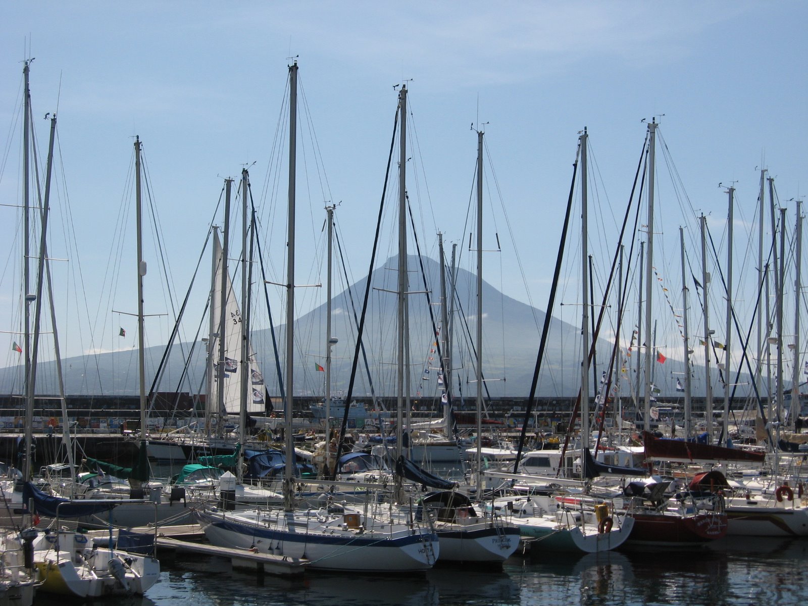 [marinatorrinhas_005.JPG]