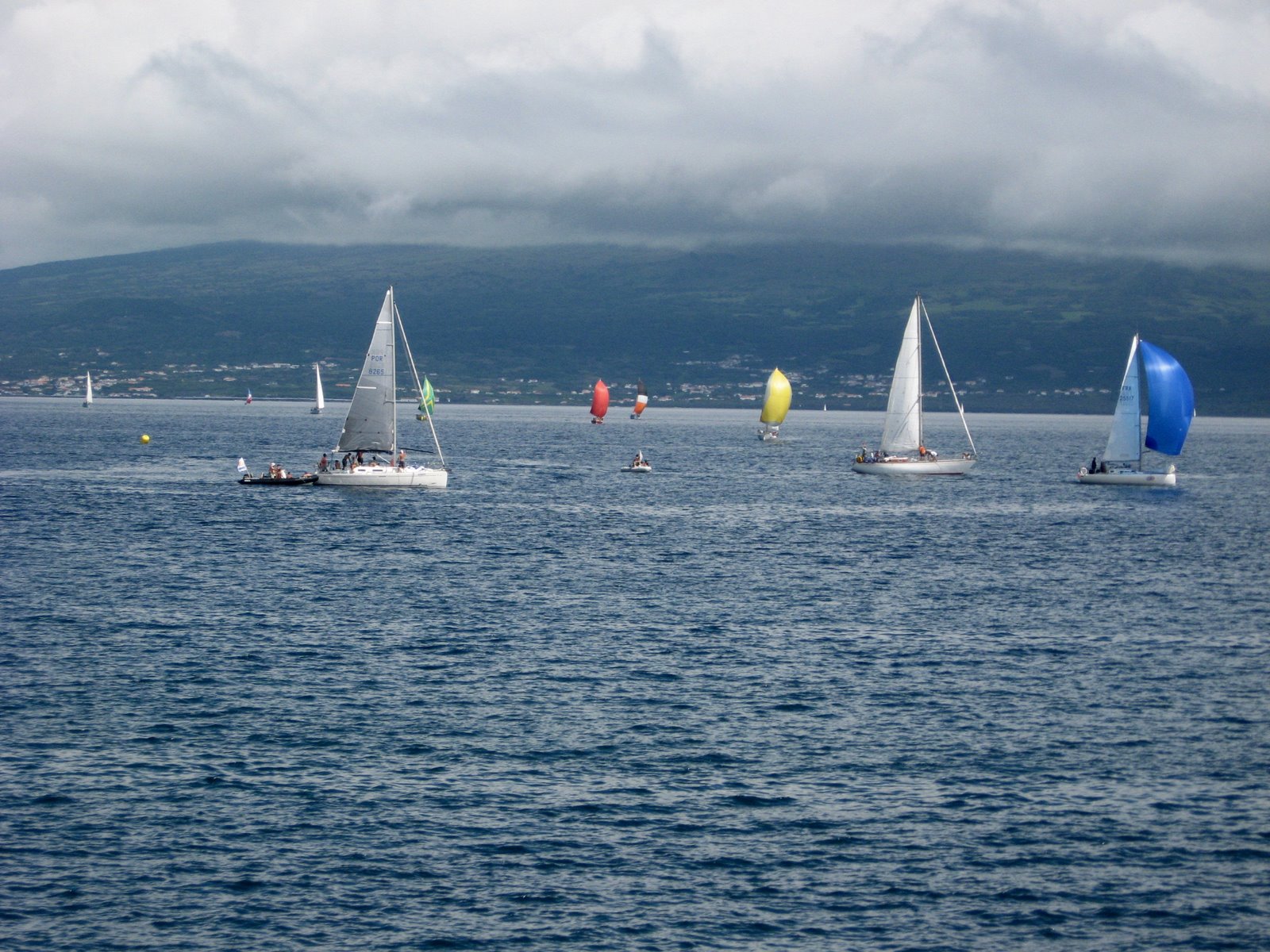 [seaweek_160.JPG]