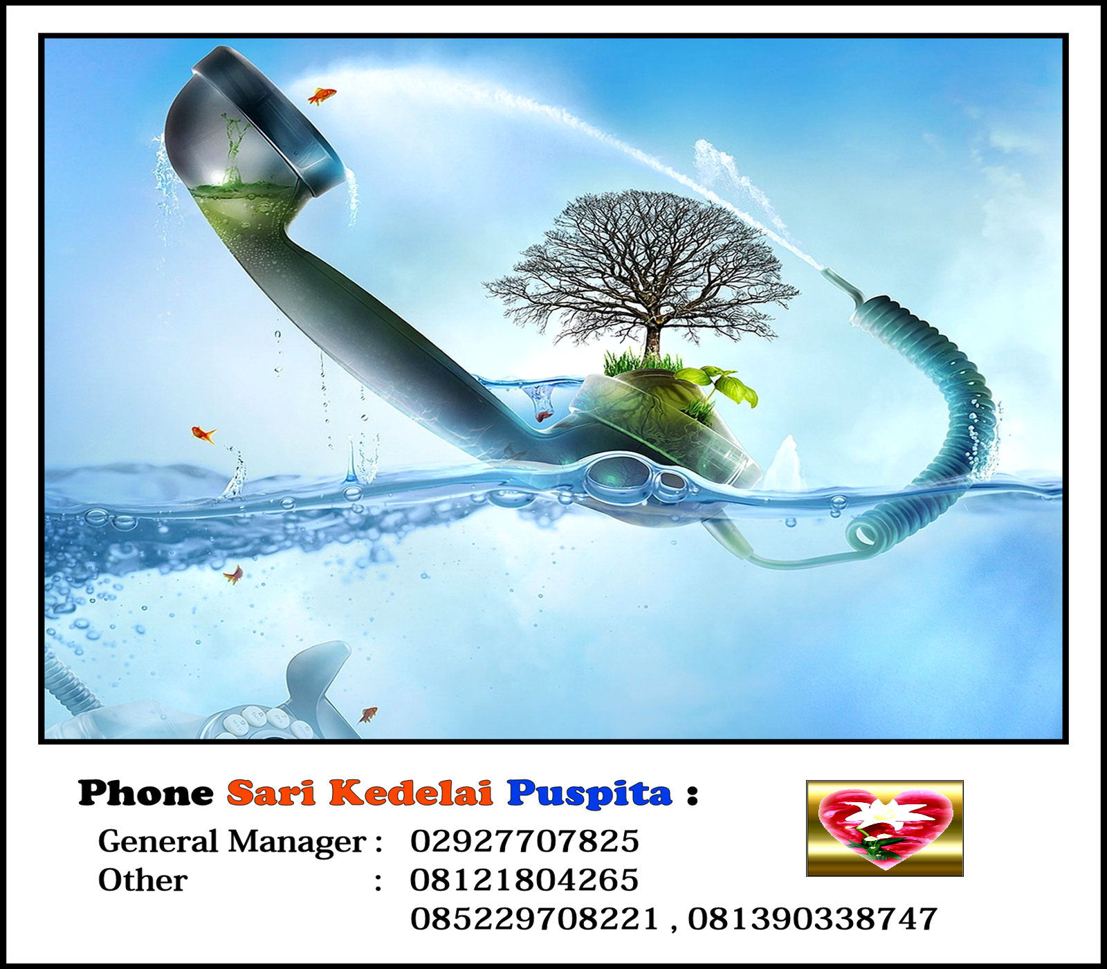 Sari Kedelai Puspita Phone