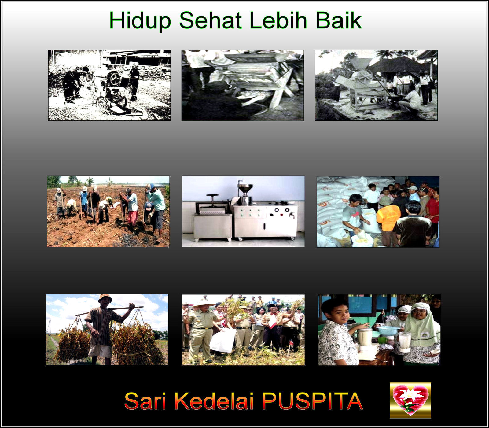 History Sari Kedelai PUSPITA