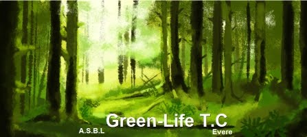 Green-Life Evere T.C