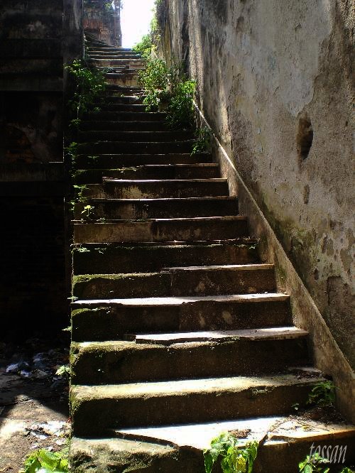 [ppp.bmp]