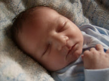 Tucker Shelton