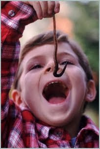Eeeuw! No, Billy - not a diet CONSISTING of worms...!!!