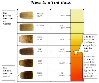 Wella Pre Pigmentation Chart