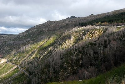 [DSC_0030.JPG]