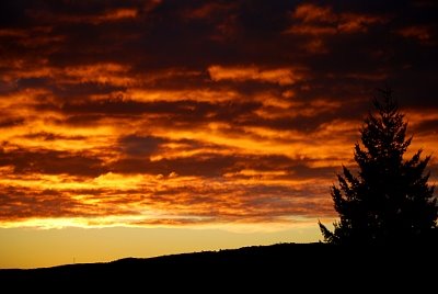 [DSC_0065.JPG]