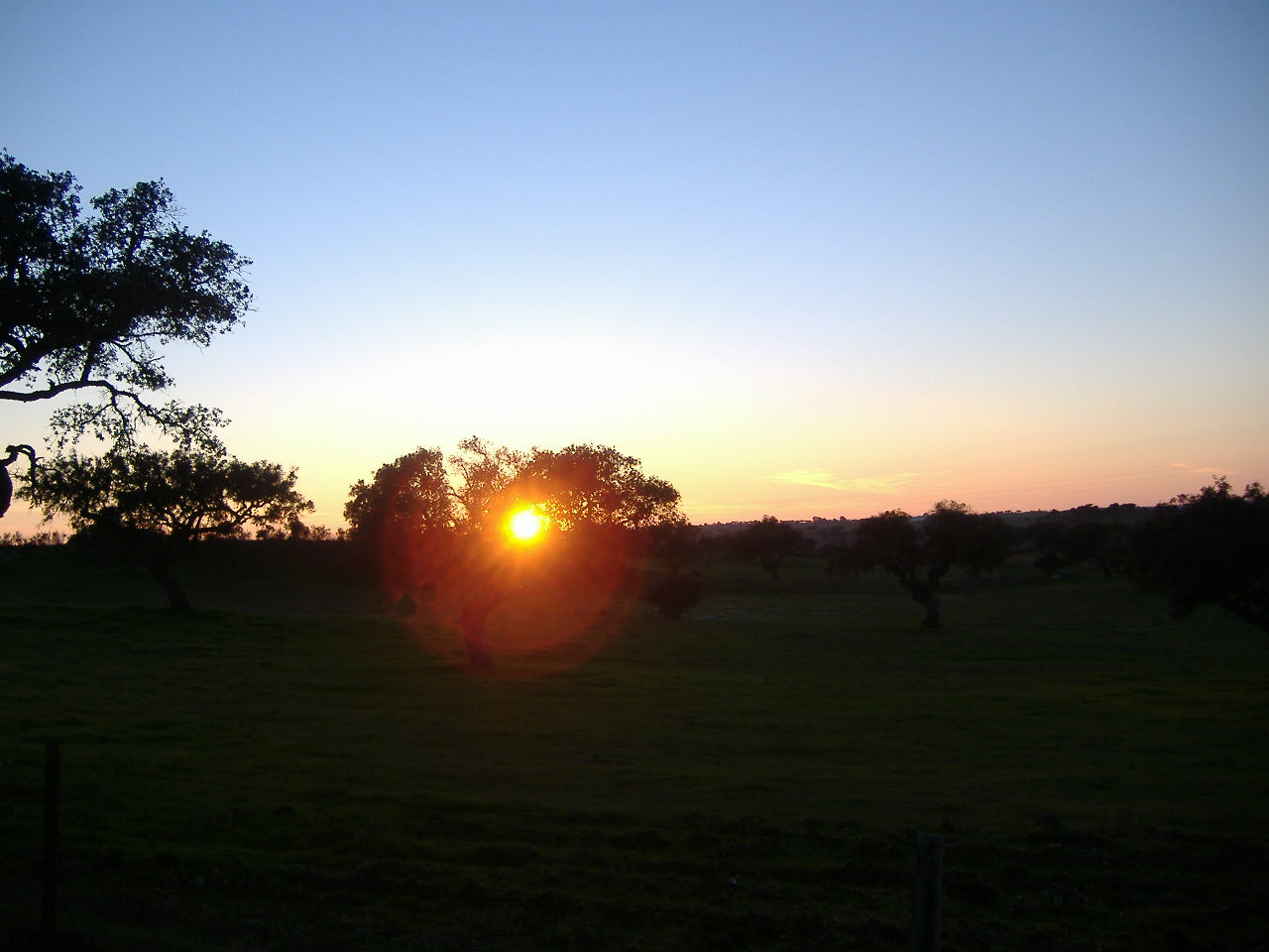 [DSCF1391.JPG]