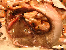 La Boqueria Fish Market In Spain