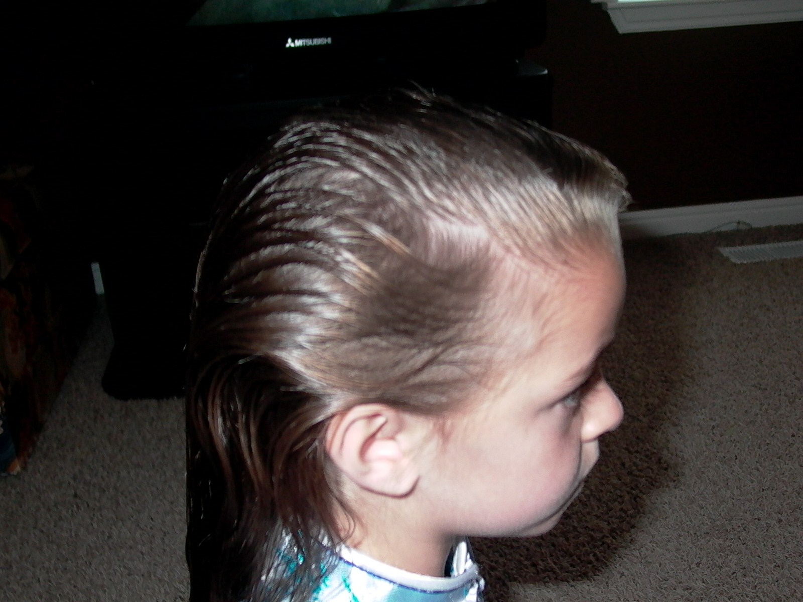 Pull through Ponytail Hairstyle Pull through Ponytail Hairstyle