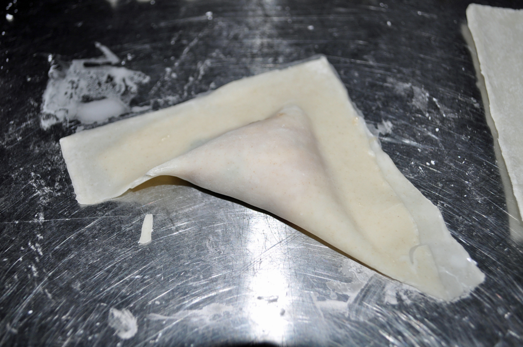 My Cocina, My Kitchen Fried Wontons