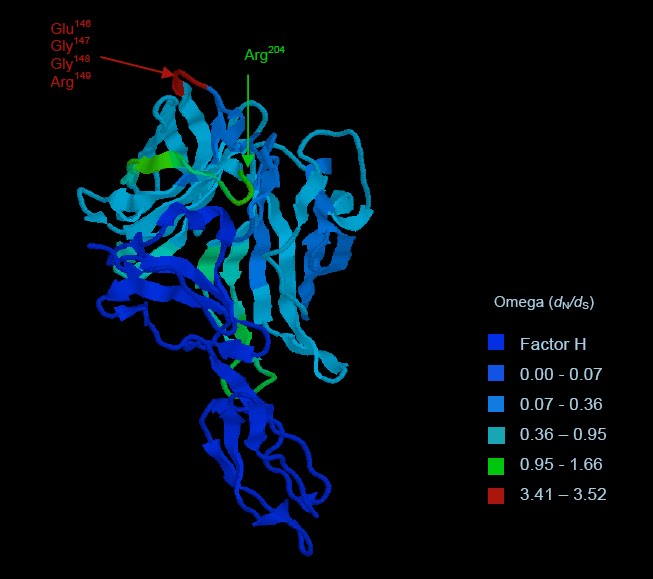 antigenic variability meddic