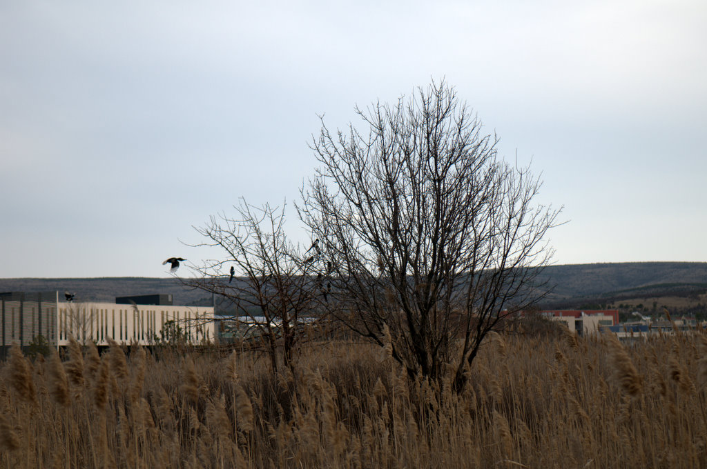 [_CTR0068-709651.jpg]