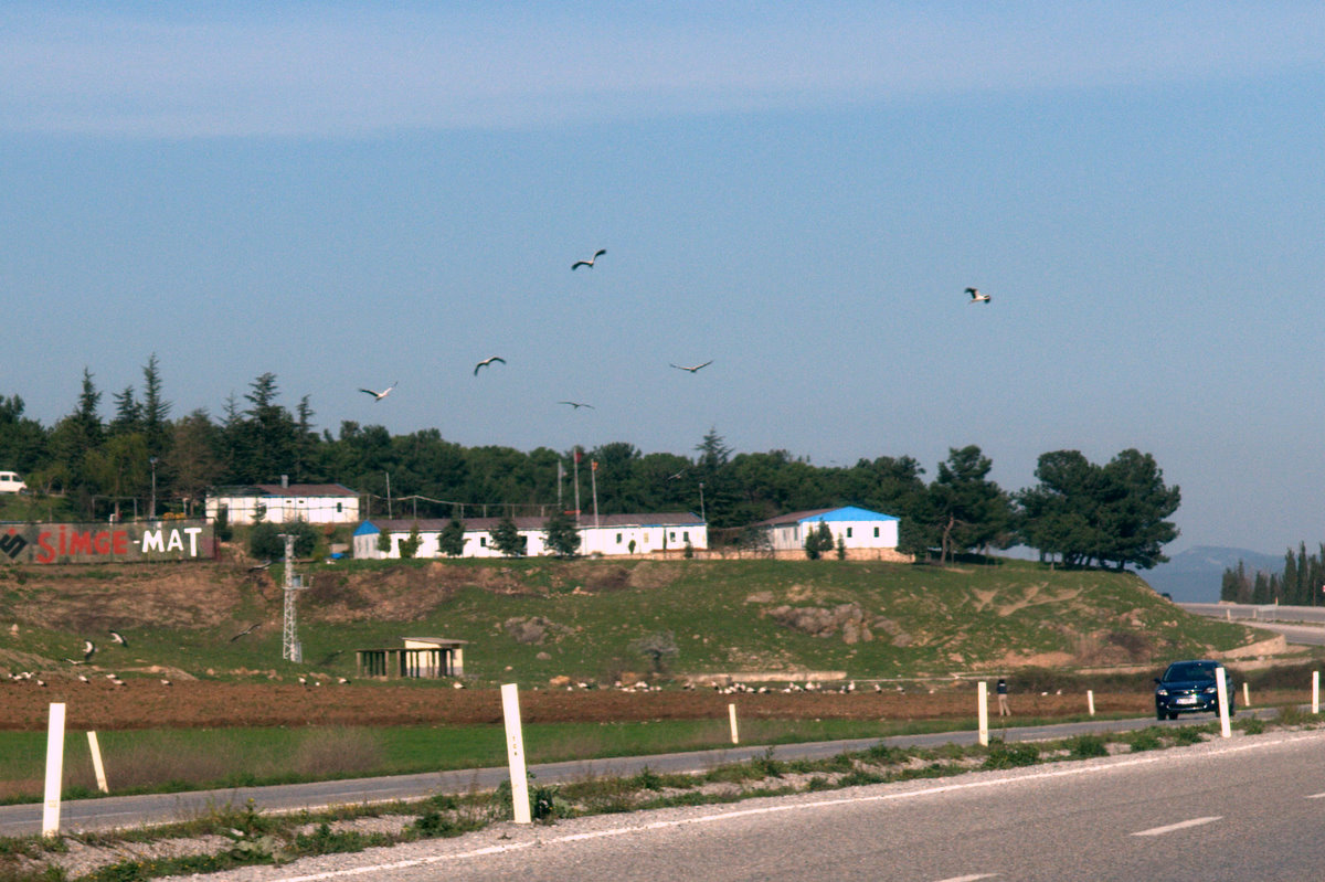 [_CTR0854-791988.jpg]