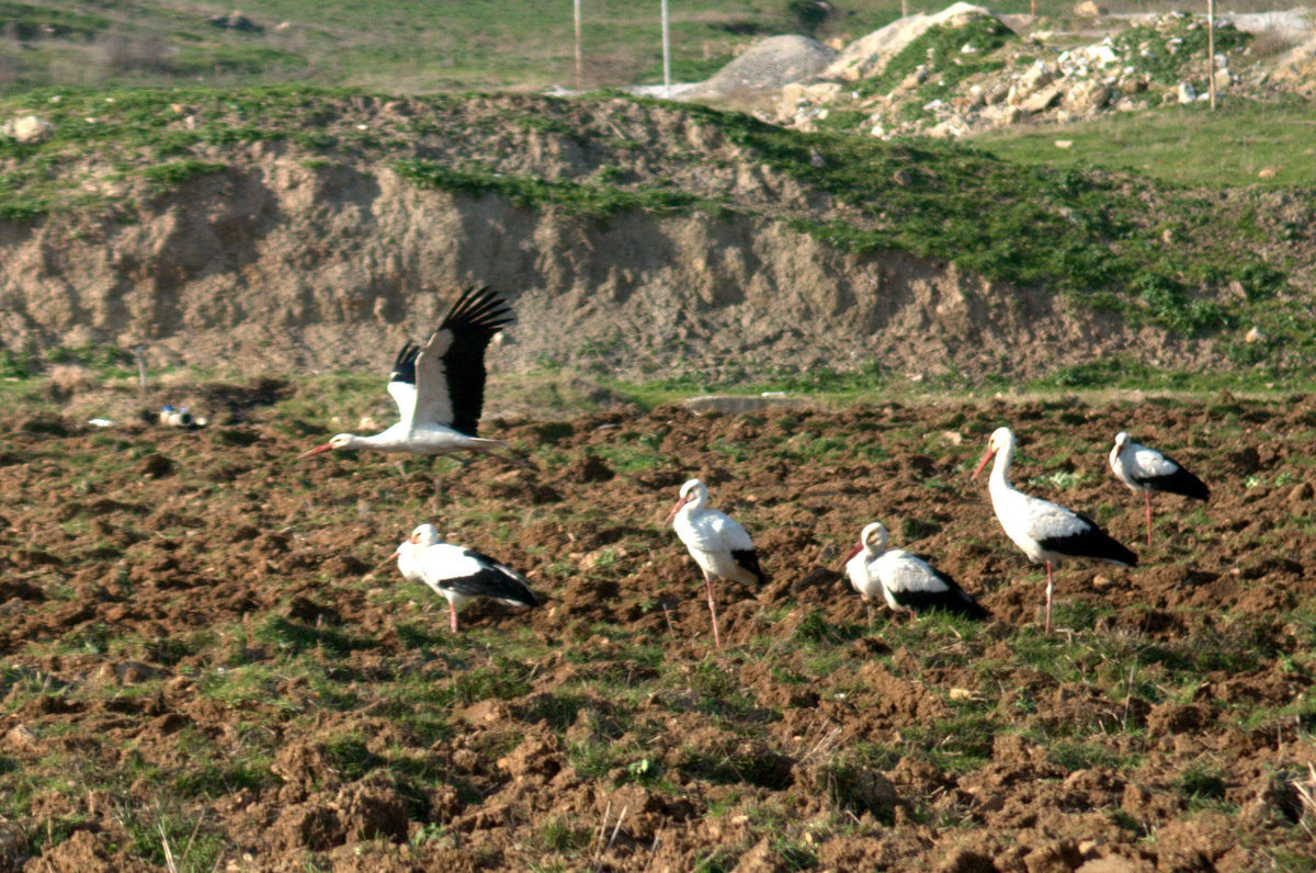 [_CTR0917-798275.jpg]