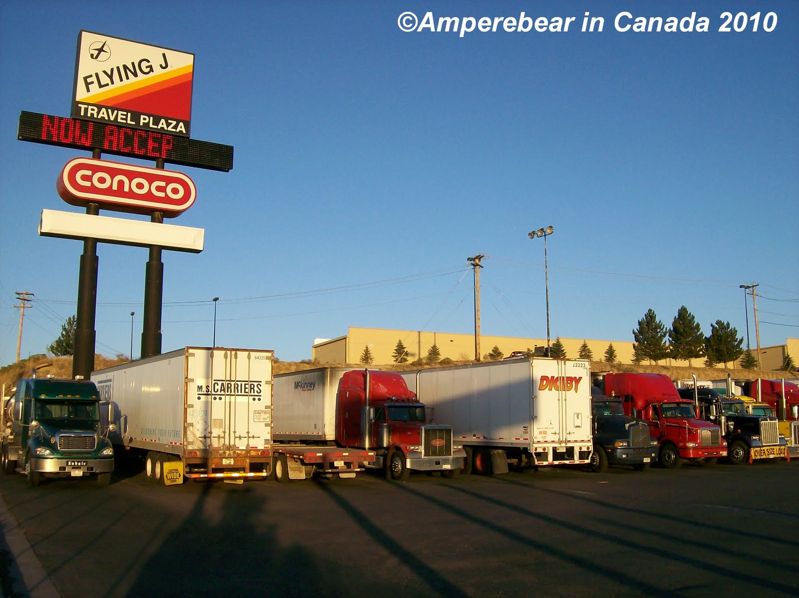 Amperebear in Canada The Way is the Target