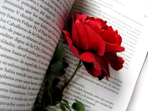 i-love-you-my-dear.jpeg