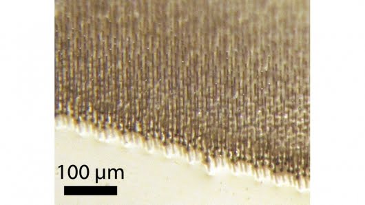 [flexible-solar-array-1.jpg]