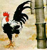 Chinese Astrology: The ROOSTER Chinese Astrology: The ROOSTER