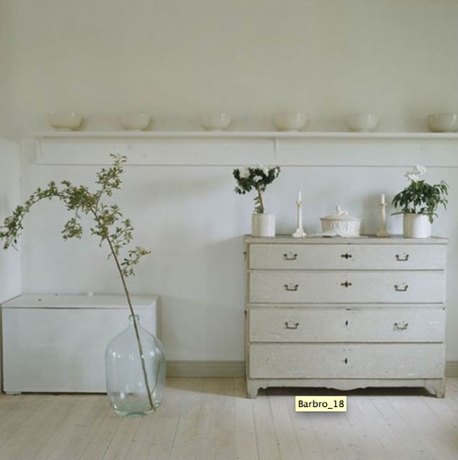 [white.jpg]